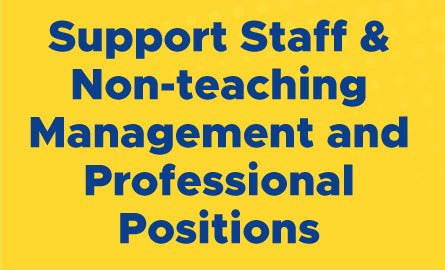"Support staff, Non-teaching Management, and Professional Positions" on yellow background 