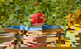 Stack of book with apple on top
