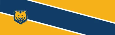 yellow and blue striped banner with Murray Centennial Public School logo