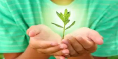 a person holding a small plant in their hands that is glowing with a bright light