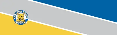 yellow gray and blue striped banner with Kawartha Heights Public School logo