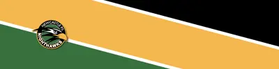 green yellow and black striped banner with Newcastle Public School logo