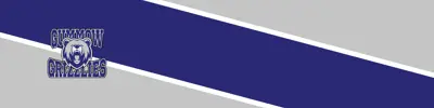 grey and purple striped banner with C.R. Gummow Public School logo