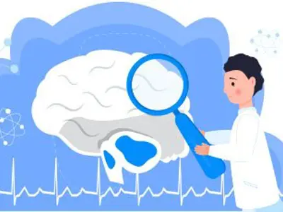 a person examining a brain with a magnifying glass