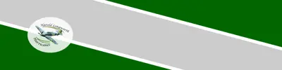 green and gray striped banner with Harold Longworth Public School logo